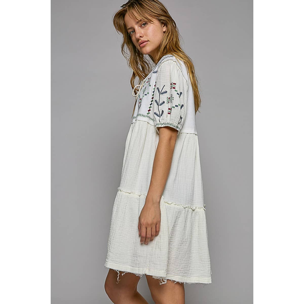 Notched round neck short sleeve embroidery dress SALE